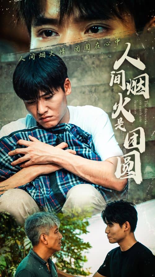 人间烟火是团圆全集