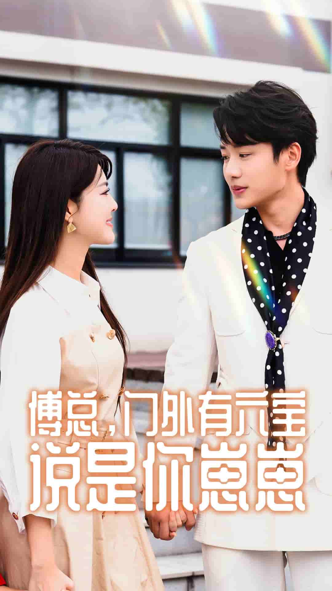 傅总，门外有六宝说是你崽崽全集