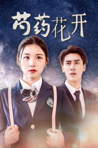 火光中的芍药花全集