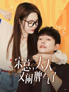 宋总，夫人又闹脾气了全集