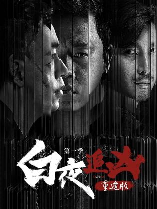 白夜追凶第一季重逢版全集
