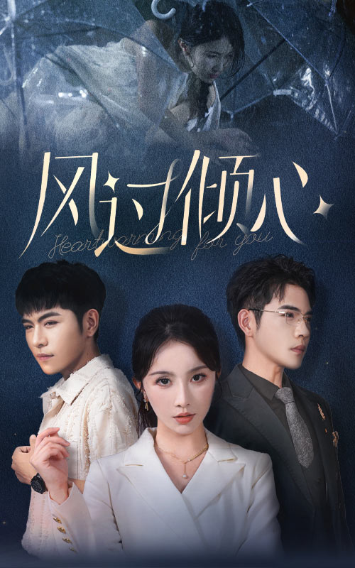 风过倾心全集