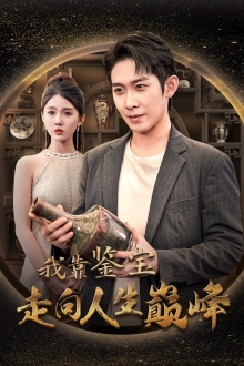 我靠鉴宝走向人生巅峰全集