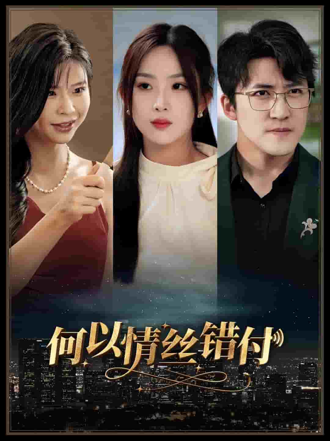 何以青丝错付全集
