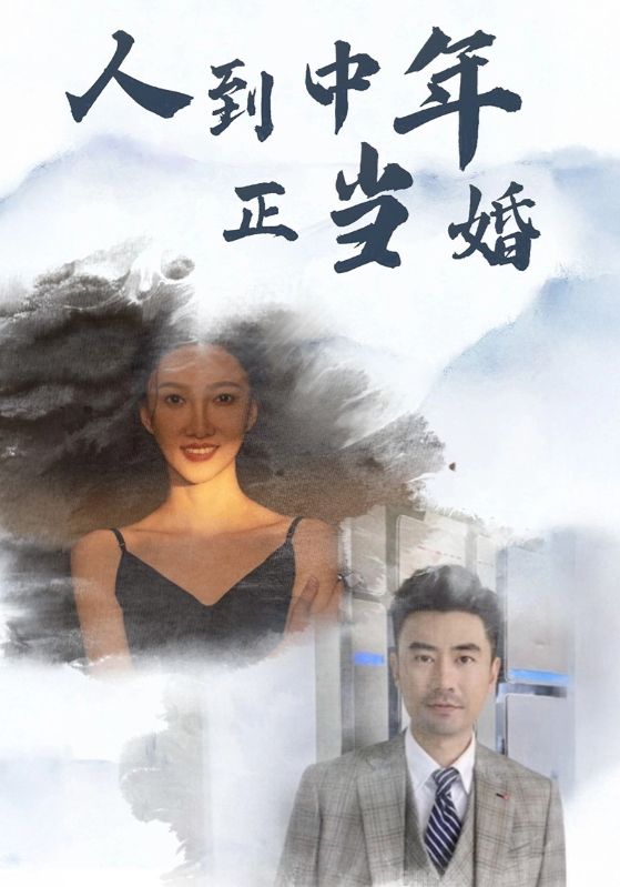 人到中年正当婚全集