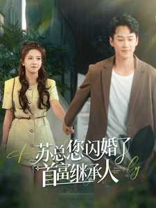 苏总您闪婚了首富继承人全集