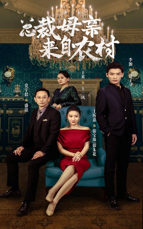 总裁母亲来自农村全集