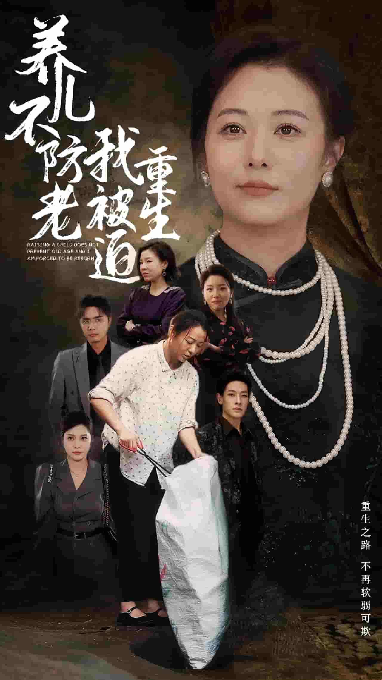 养儿不防老我被迫重生全集