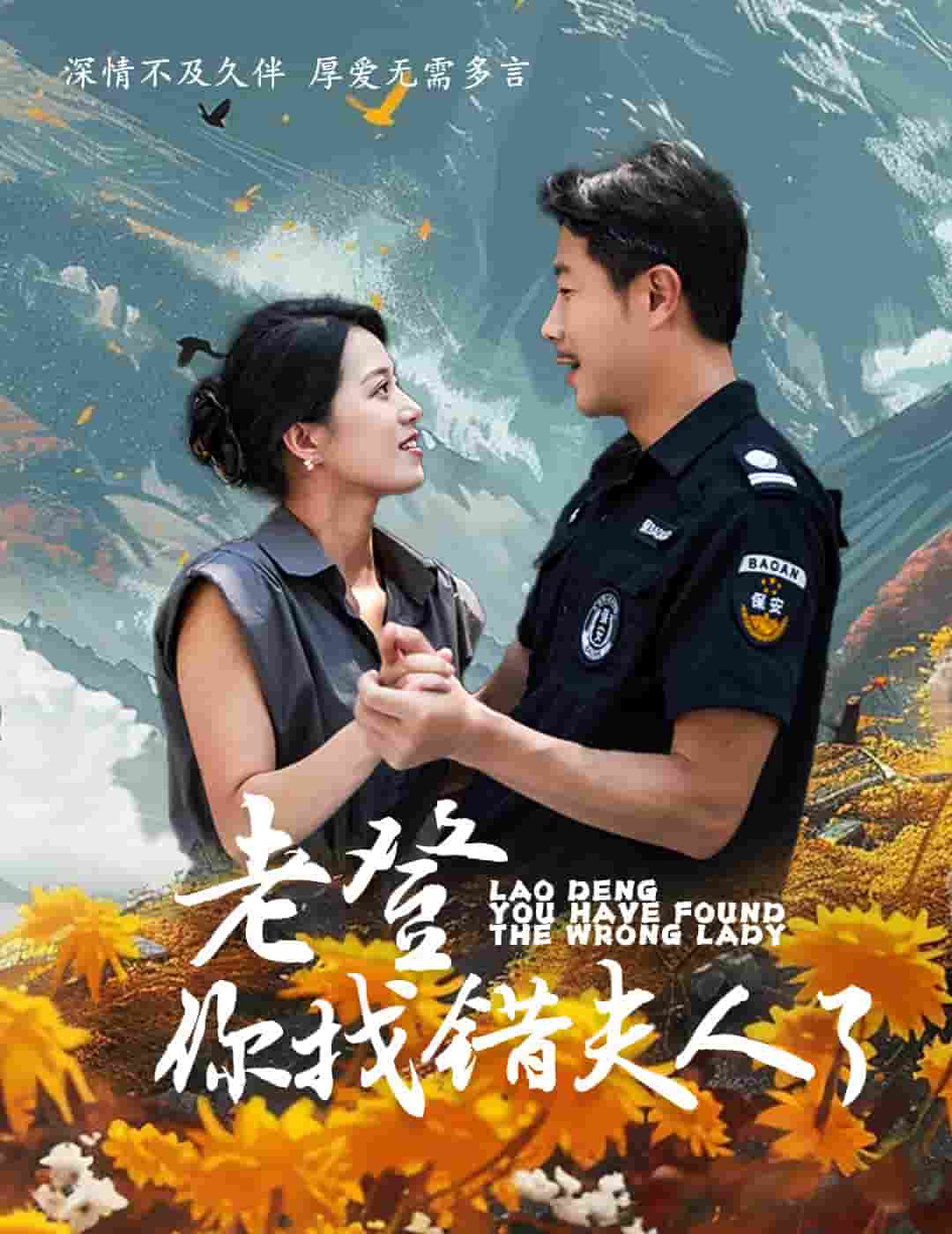 老登你找错夫人了全集