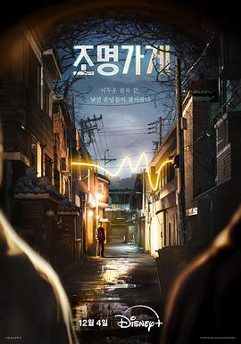 照明商店2024全集