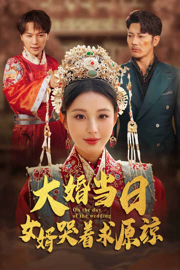 大婚当日，女婿哭着求原谅全集