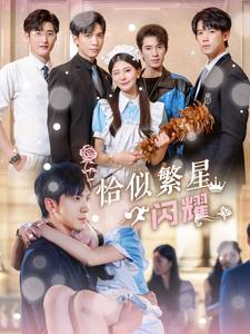 恰似繁星闪耀全集