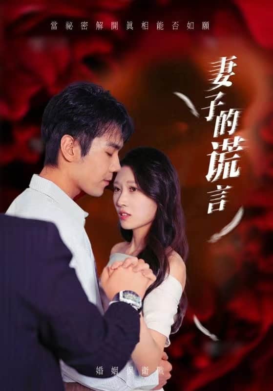 妻子的谎言全集