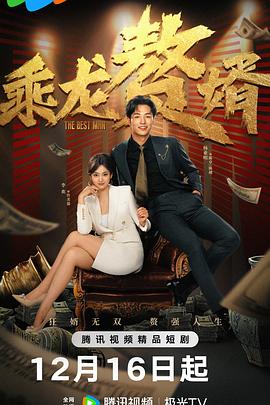 乘龙赘婿全集
