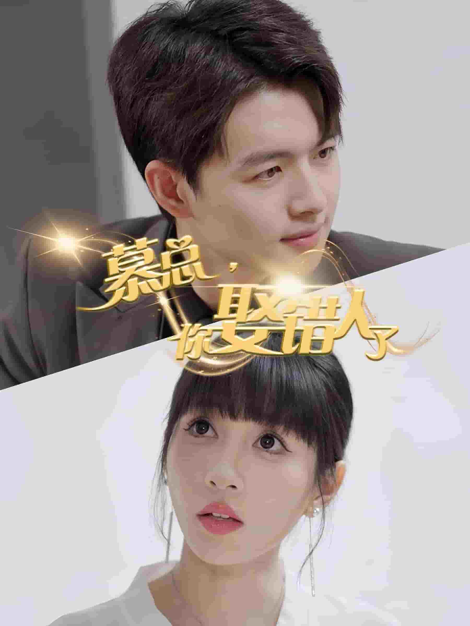 慕总你娶错人了全集