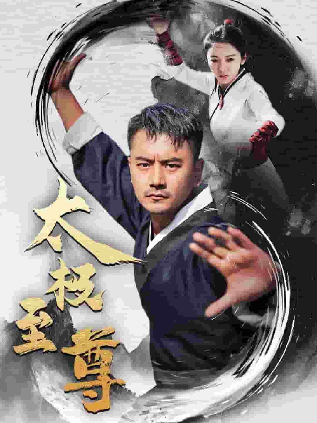 太极至尊全集