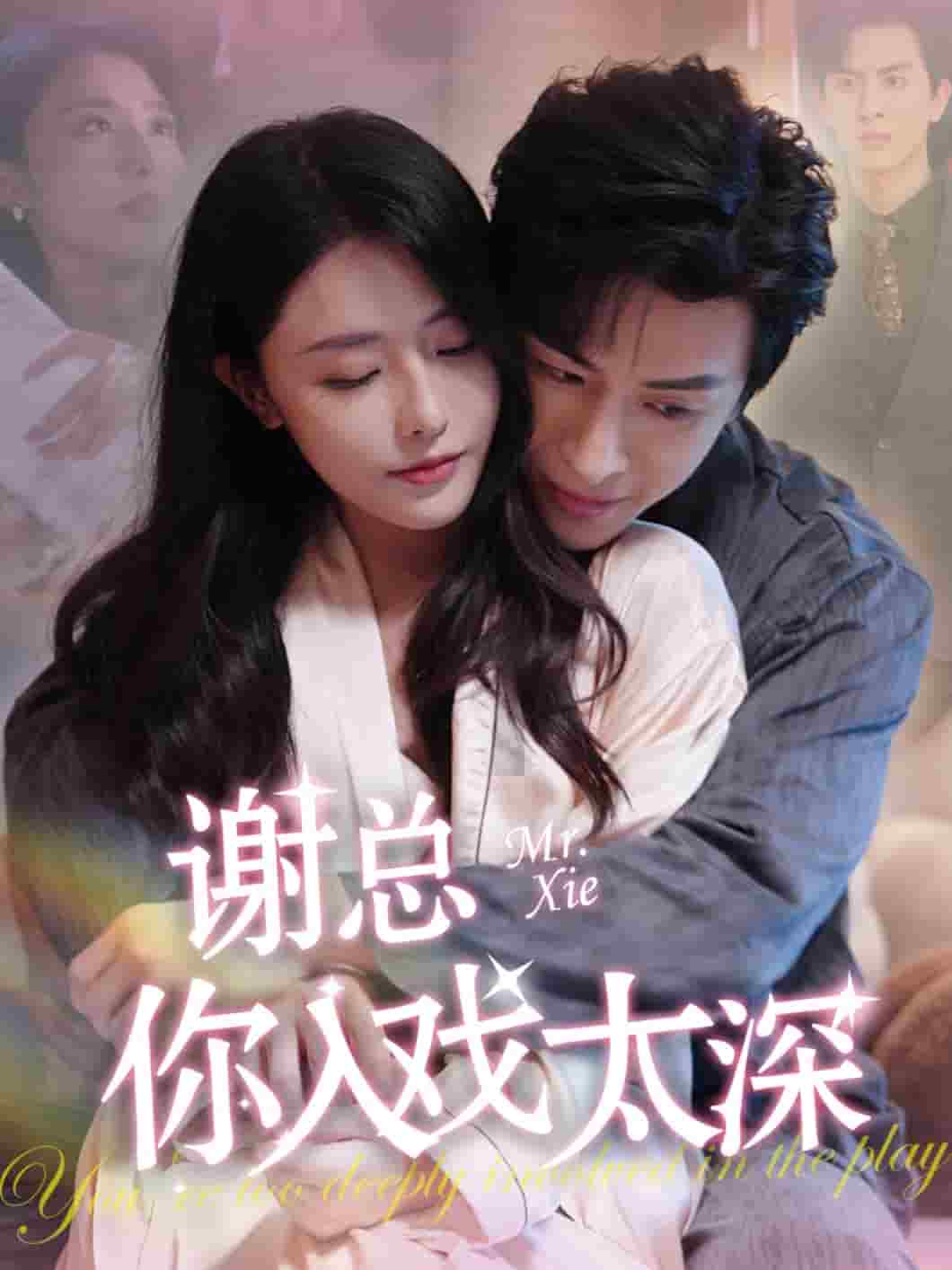 谢总你入戏太深全集