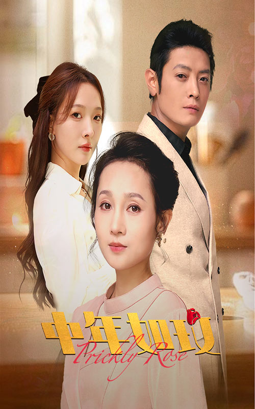 中年如玫全集