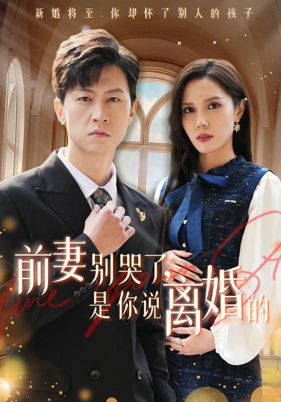 前妻别哭了是你说离婚的全集