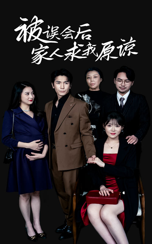 被误会后家人求我原谅全集