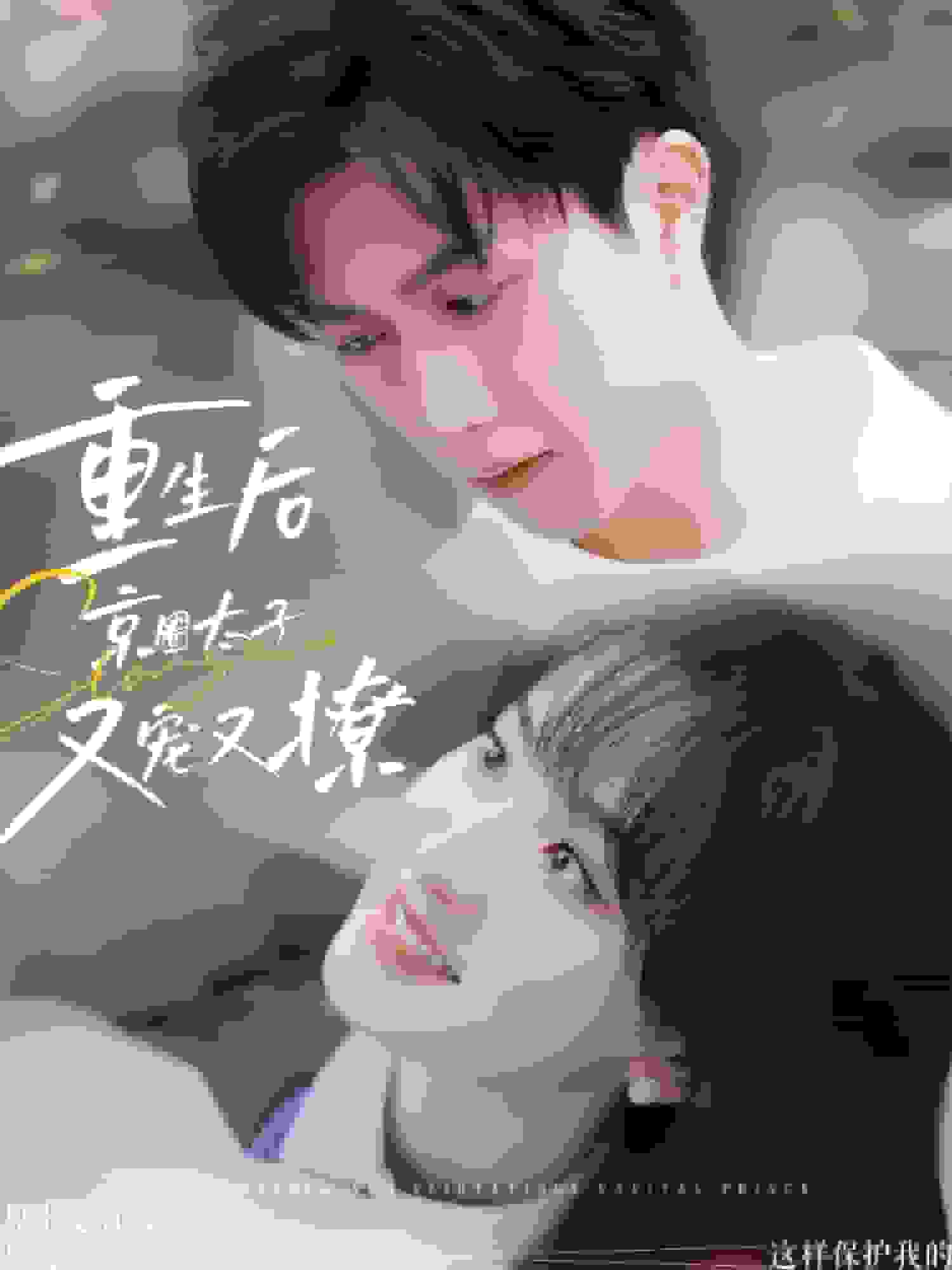 重生后京圈太子又宠又撩全集