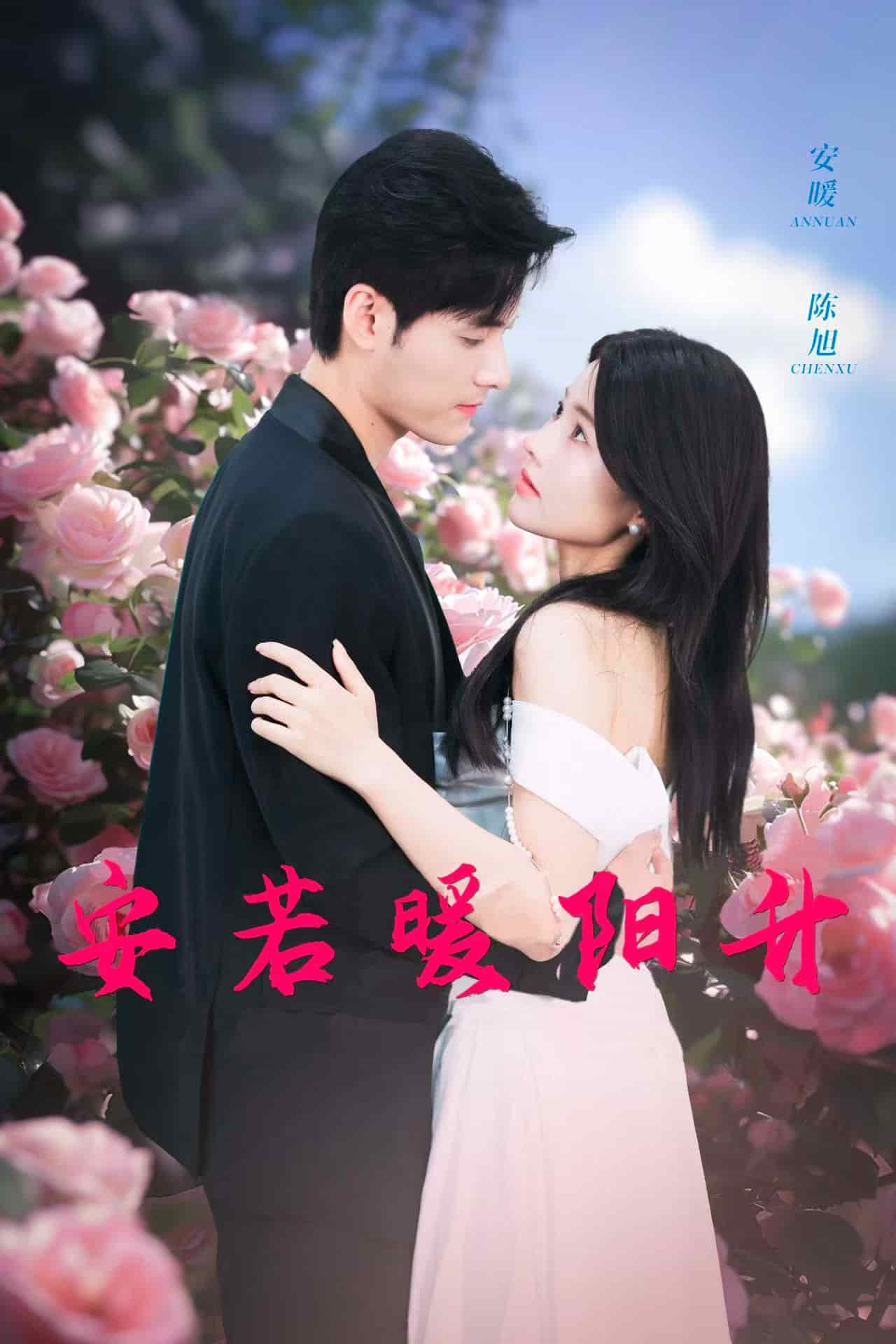 安若暖阳升全集