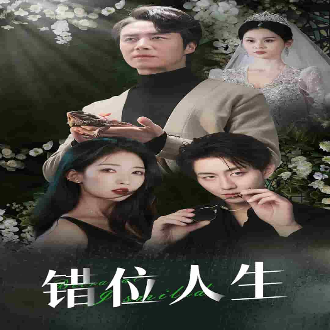 养大他人的儿子后我笑了全集