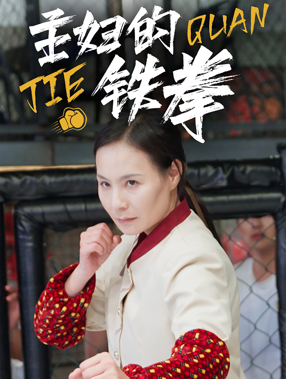 主妇的铁拳全集