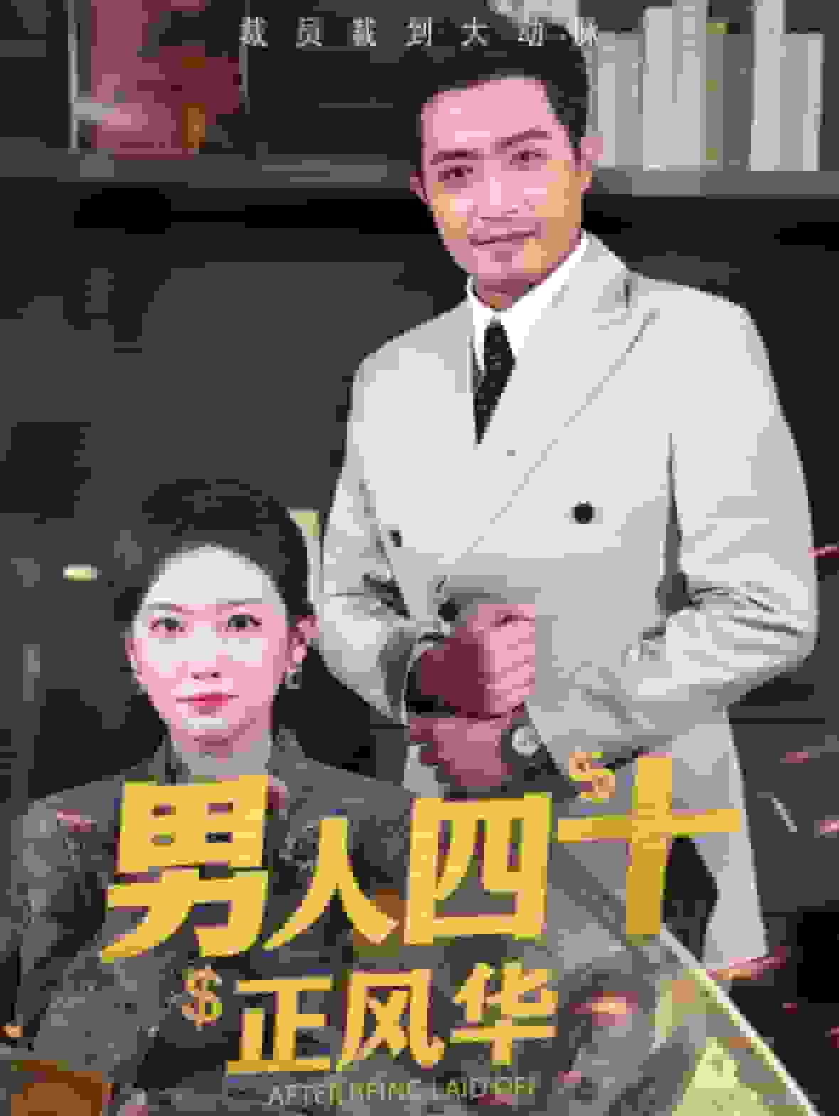 男人四十正风华全集