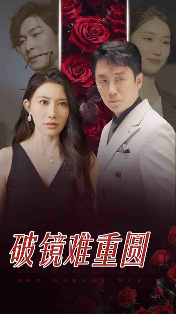 破镜难重圆全集