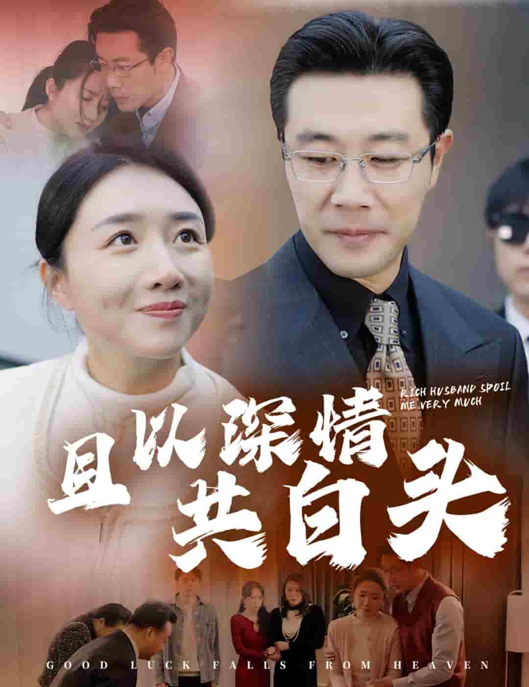 且以深情共白头全集
