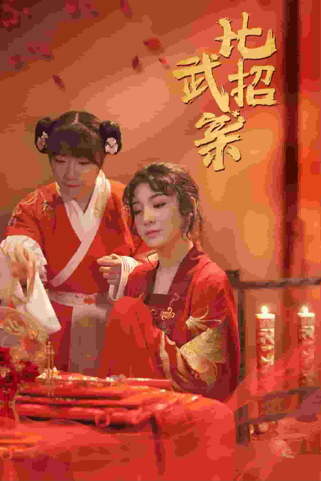 比武招亲全集