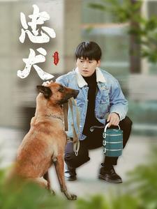 忠犬（短剧版）全集