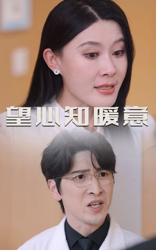 望心知暖意全集