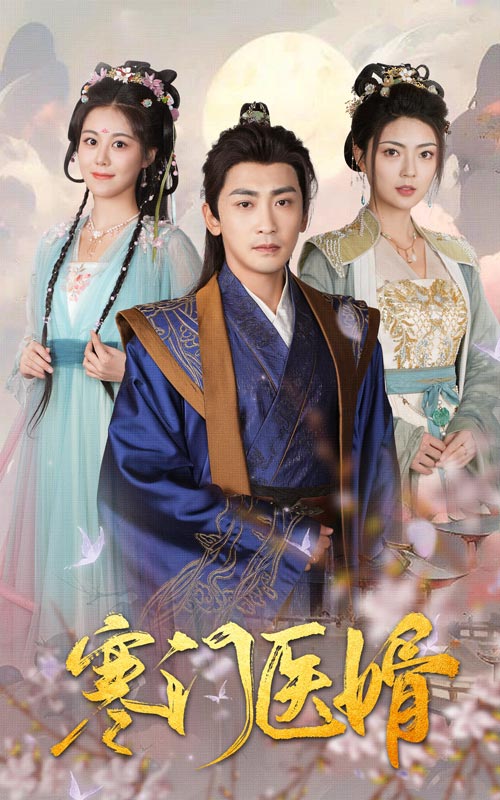 寒门医婿全集