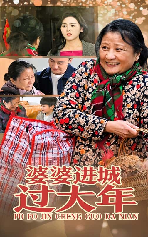 婆婆进城过大年全集