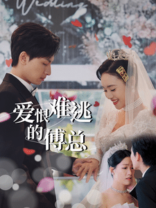 爱恨难逃的傅总全集