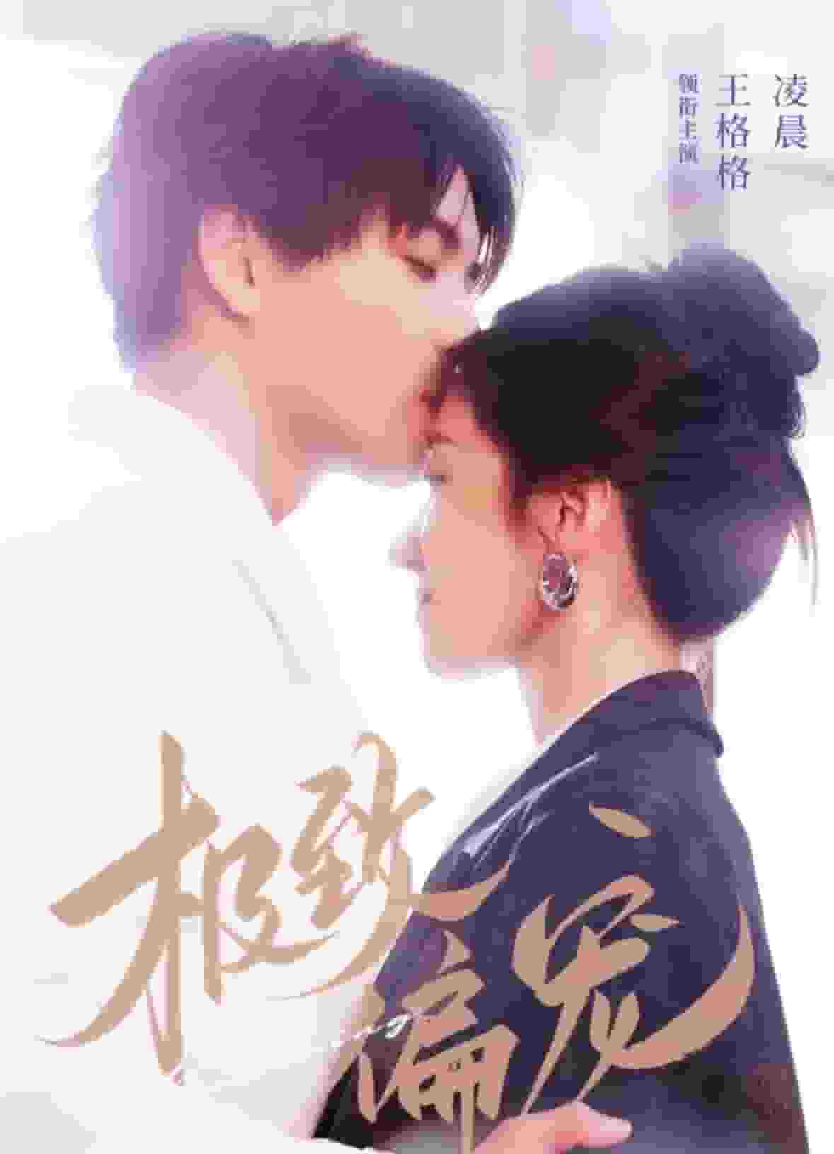 极致偏宠全集