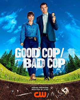 好警察/坏警察全集