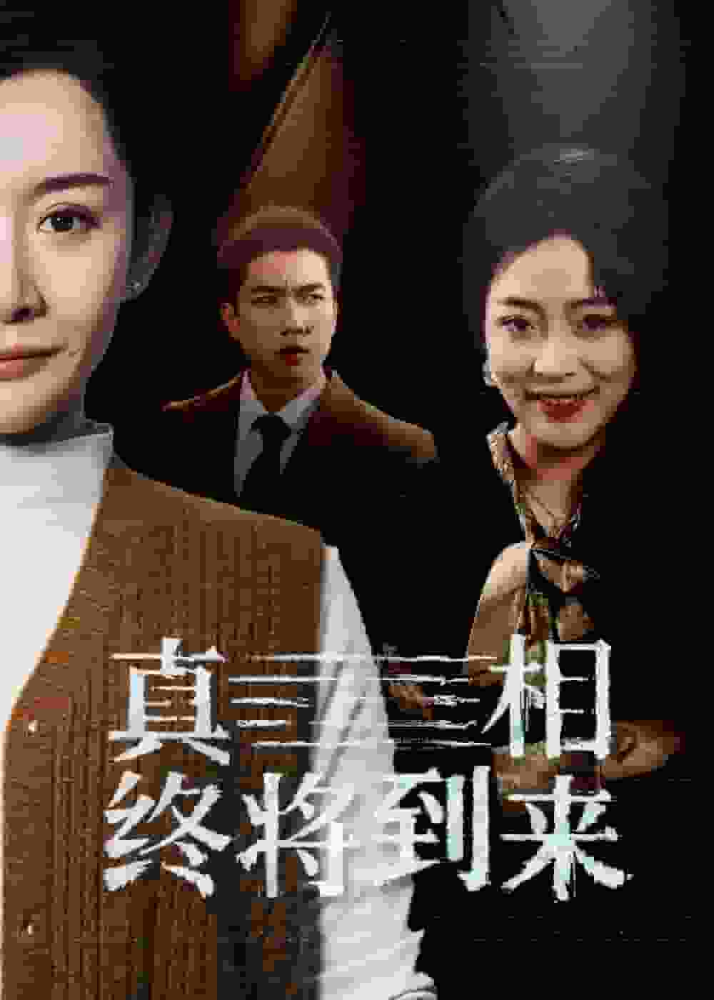 真相终将到来全集