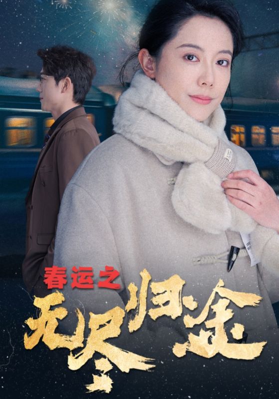 春运之无尽归途全集