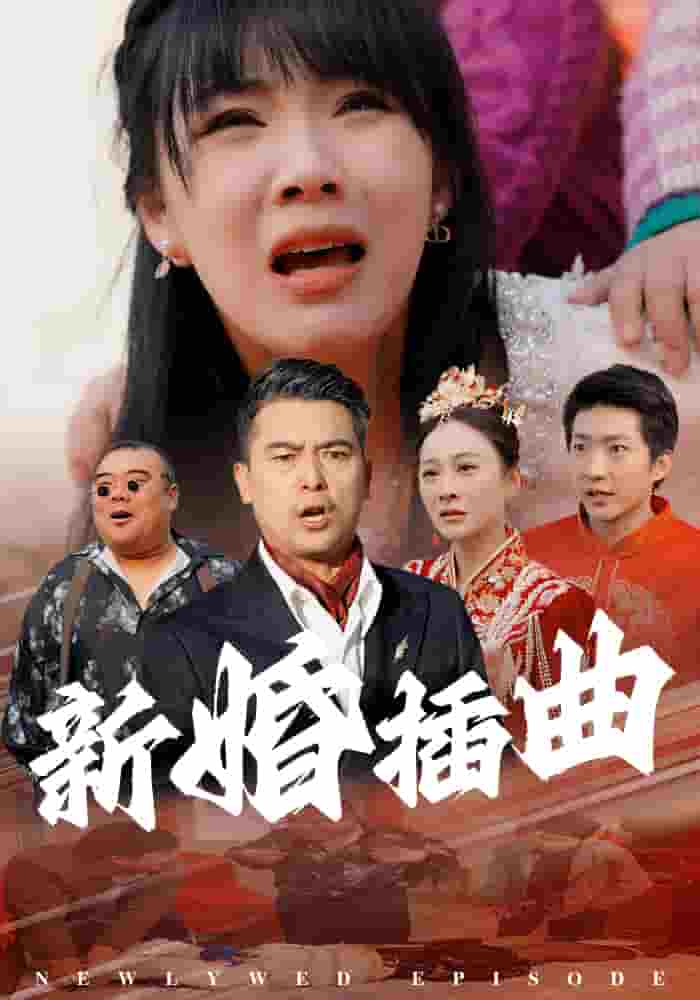 新婚插曲全集