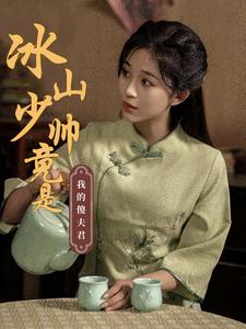 冰山少帅竟是我的傻夫君全集