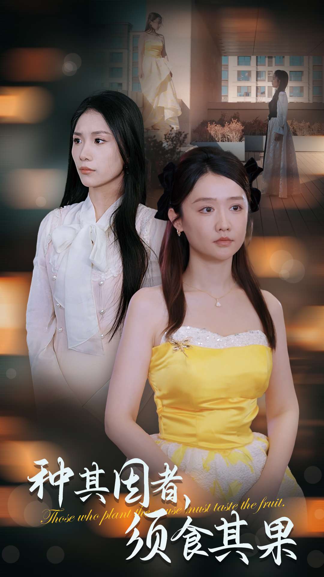 种其因者须食其果全集