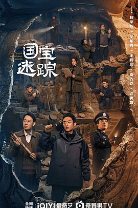 护宝寻踪全集