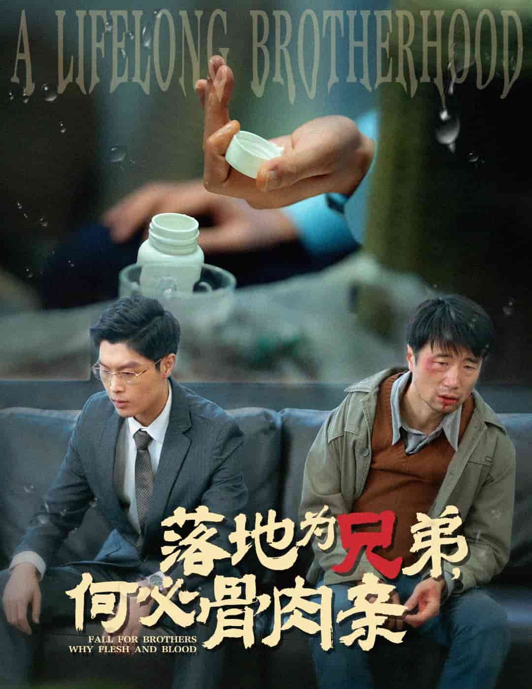 落地为兄弟，何必骨肉亲全集