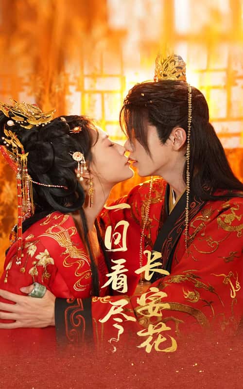 一日看尽长安花全集