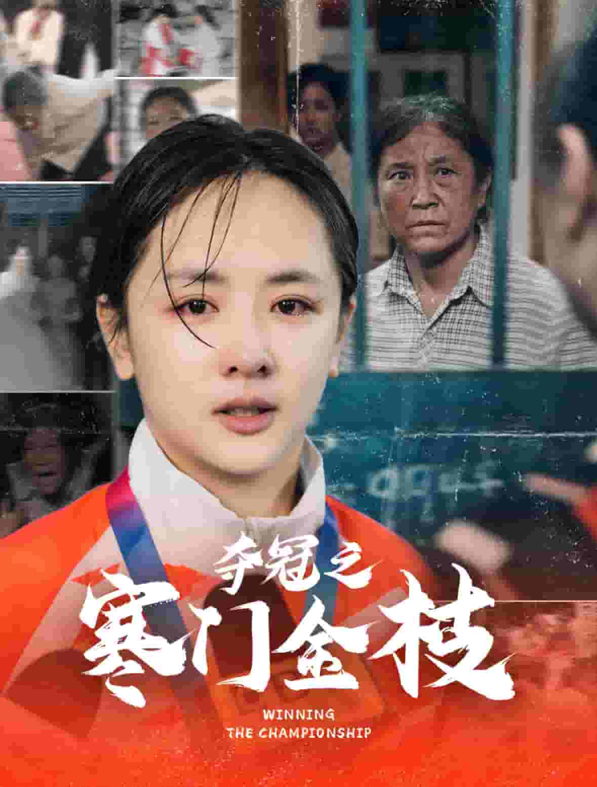 夺冠之寒门金枝全集