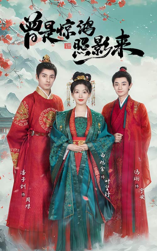 曾是惊鸿照影来全集