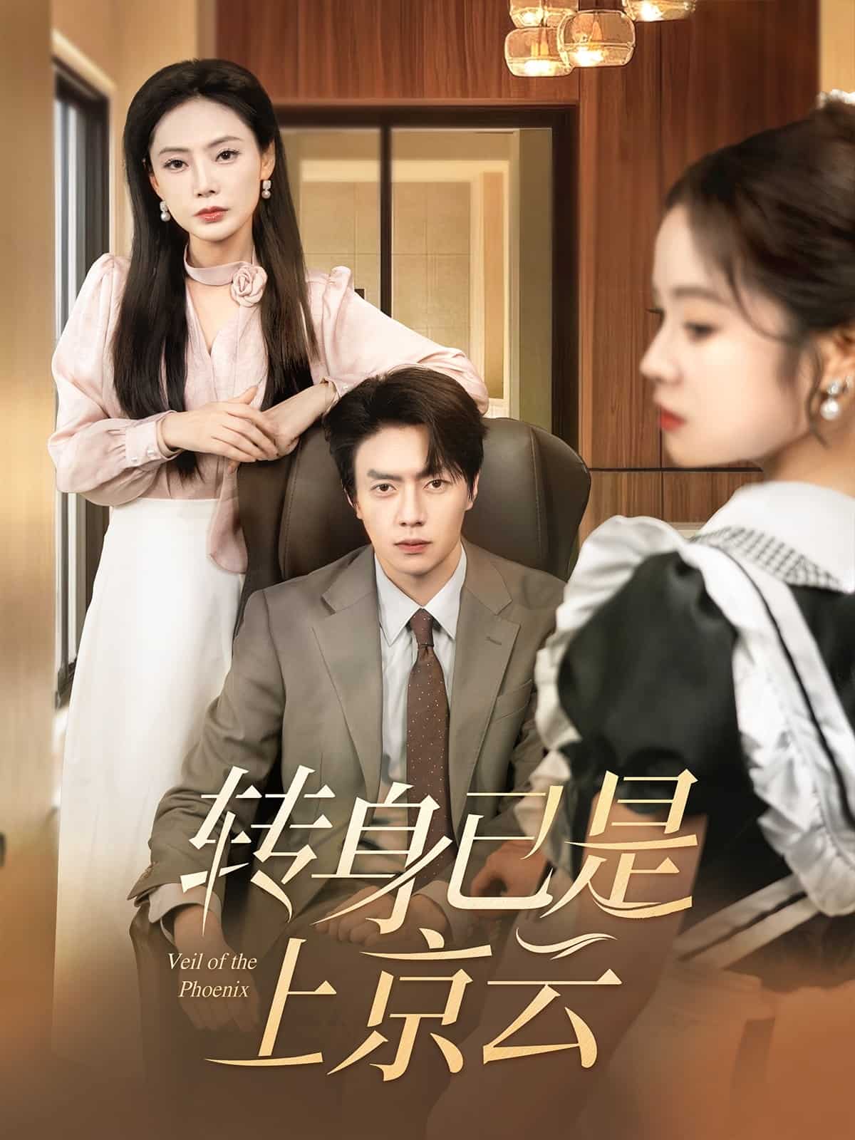 转身已是上京云全集